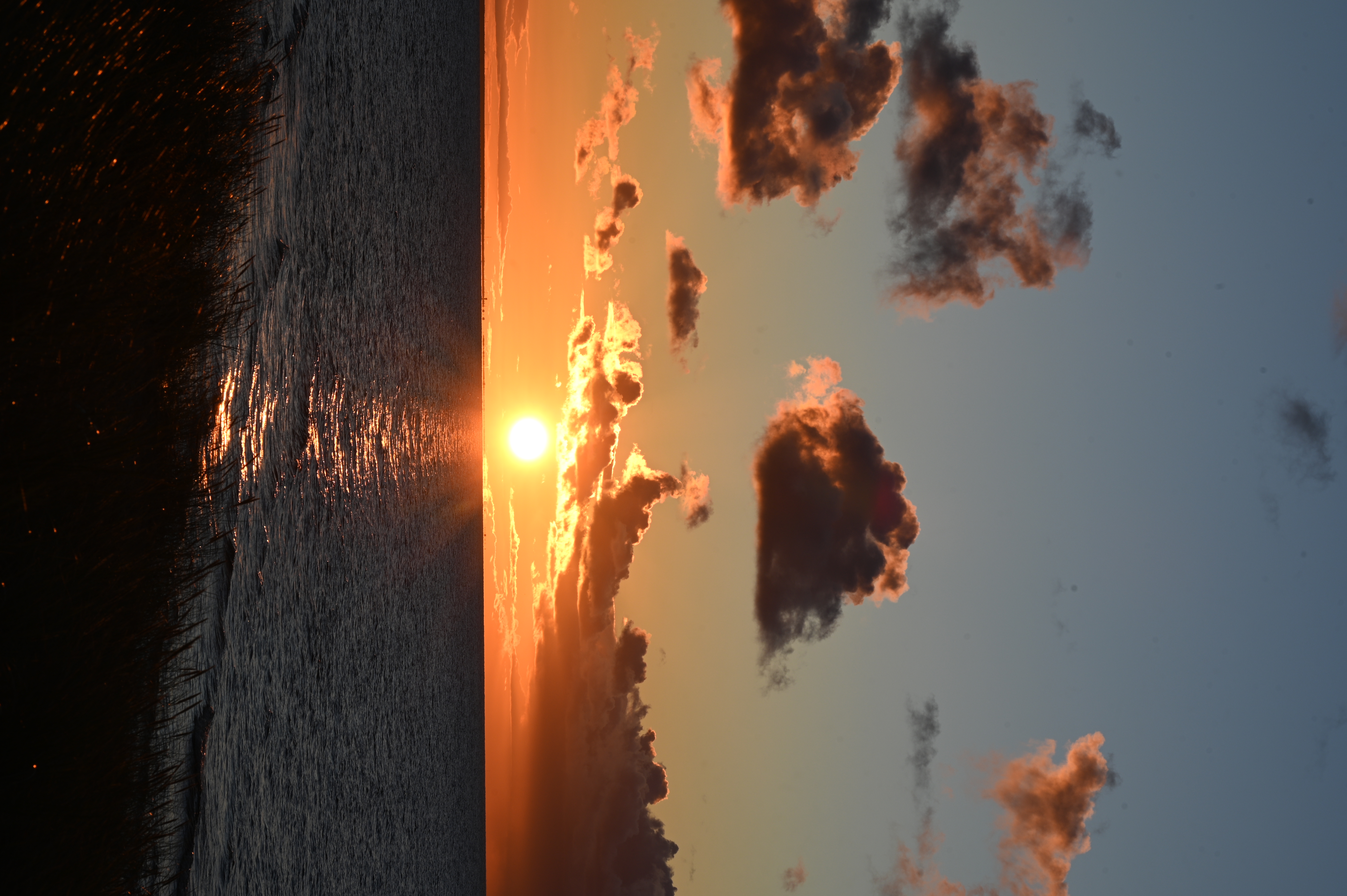 2025/10/18 - walk/DSC_0429.JPG